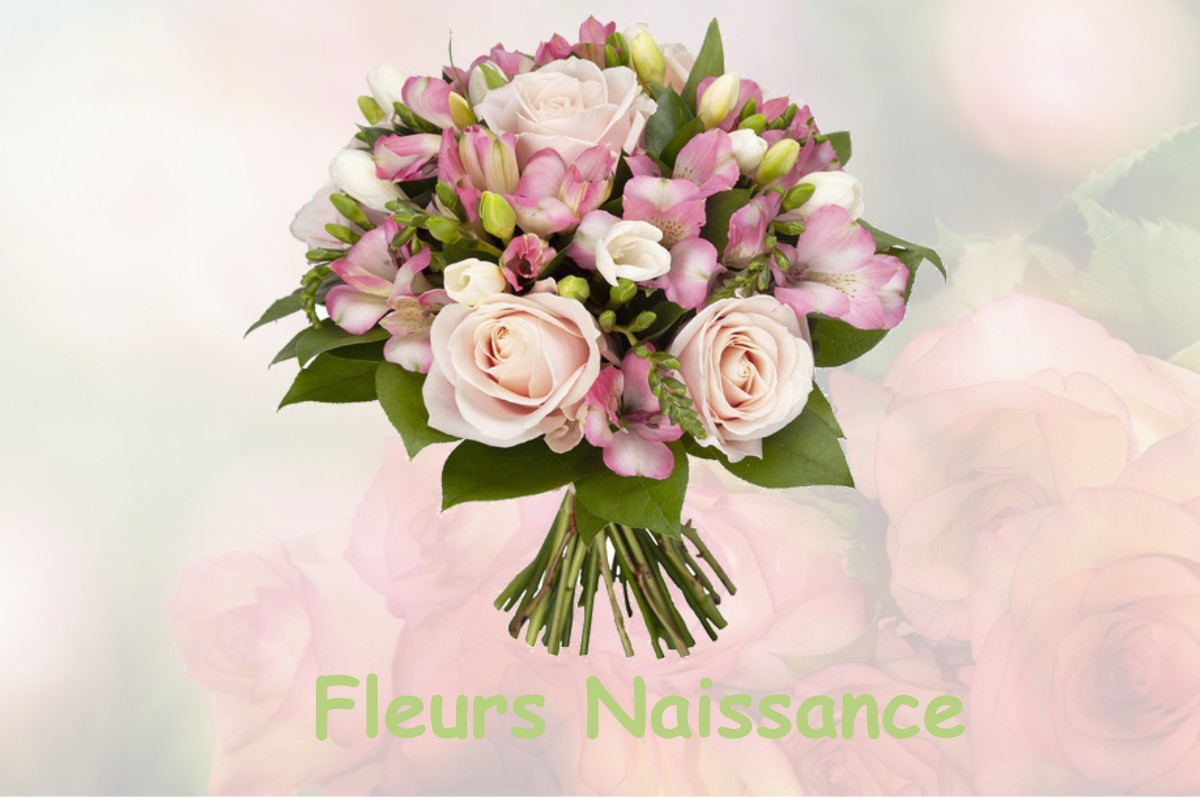 fleurs naissance SAINT-GEIN