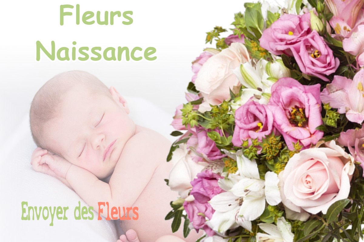 lIVRAISON FLEURS NAISSANCE à SAINT-GEIN